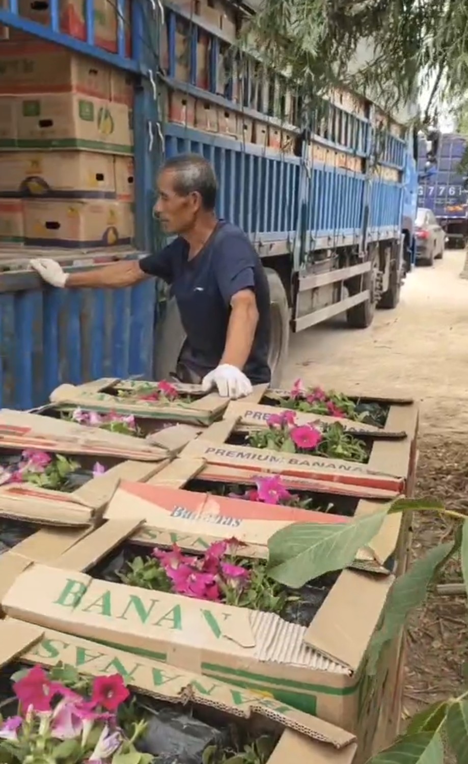 發貨現場
